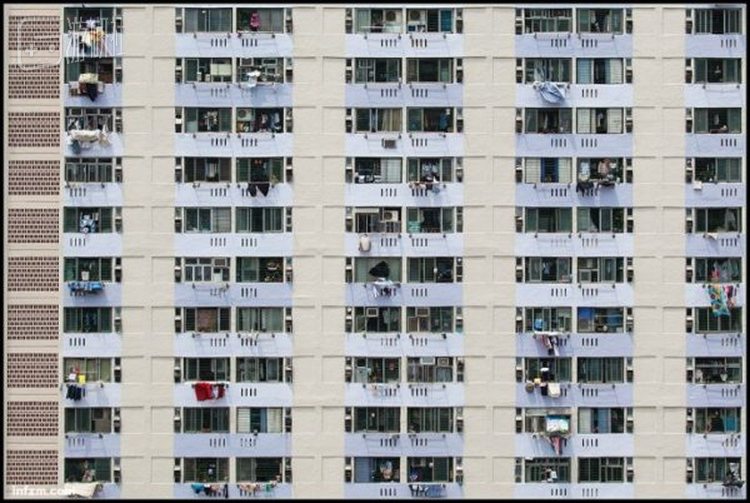 屋邨是香港特定文化的一种